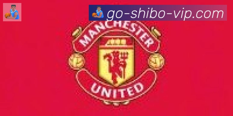世博体育官网合作伙伴